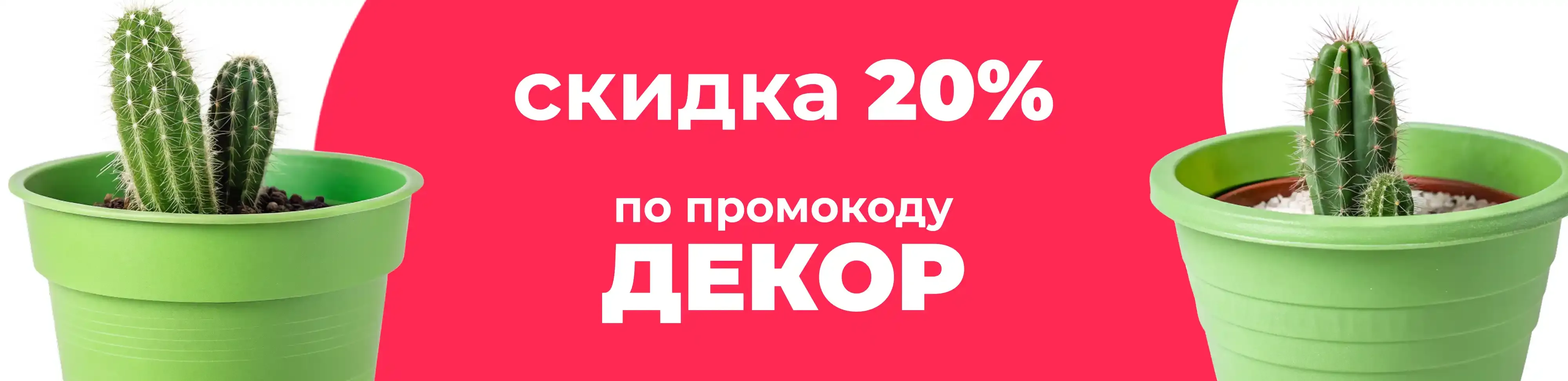 Баннер для рубрики: Кашпо для суккулентов