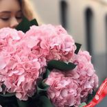 Маленькое фото 3: Букет из 5 розовых гортензий в розовой бумаге