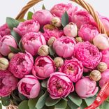 Маленькое фото 2: Корзина 101 розовый пион с эвкалиптом