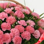 Маленькое фото 5: Букет из 55 розовых гвоздик в корзине с зеленью
