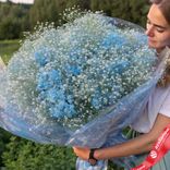 Маленькое фото 1: Букет из 25 голубых гипсофил в пленке