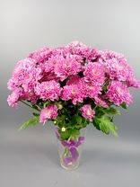 Фото флориста 4: Букет из 9 кустовых фиолетовых хризантем с лентой, Ромашка, Голландия