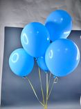 Фото флориста 5: Шар с гелием, 30 см, нежно-голубой, макарунс