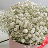 Маленькое фото 4: Букет из 9 гипсофил в розовой коробке