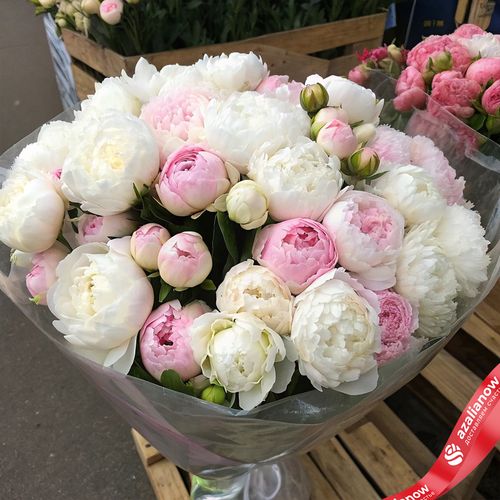 Букет из 50 пионов микс белые и розовые в пленке