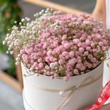 Маленькое фото 2: Букет из 7 розовых гипсофил в белой коробке