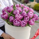 Маленькое фото 1: Букет из 21 фиолетового пионовидного тюльпана в белой коробке, Россия