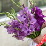 Маленькое фото 2: Букет из 15 сиреневых гладиолусов с белой лентой