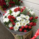 Маленькое фото 1: Букет из 11 белых кустовых хризантем и 20 красных тюльпанов в пленке