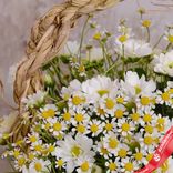 Маленькое фото 5: Акция! Букет из белых хризантем и ромашек в корзине