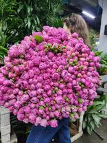 Фото флориста 1: Букет из 101 розовой кустовой пионовидной розы