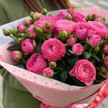 Маленькое фото 2: Розовые кустовые пионовидные розы в упаковке, 5 шт