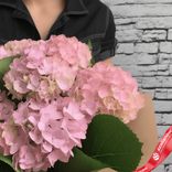 Маленькое фото 3: Букет из 7 розовых гортензий в крафте