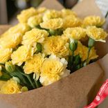 Маленькое фото 3: Букет из 25 желтых гвоздик в крафте с лентой, Голландия