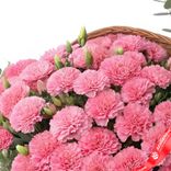 Маленькое фото 4: Букет из 45 розовых гвоздик в корзине с эвкалиптом