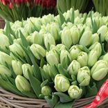 Маленькое фото 3: Букет из 500 зеленых тюльпанов в корзине, Россия