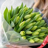 Маленькое фото 2: Букет из 35 зеленых тюльпанов в пленке, Россия