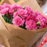 Маленькое фото 3: Букет из 10 гвоздик малиновых в крафте, Диантус, Голландия