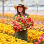 Маленькое фото 2: Луковицы ранункулюса «Супер Грин Микс»