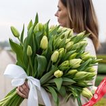 Маленькое фото 1: Букет из 25 зеленых тюльпанов с лентой, Россия