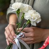 Маленькое фото 1: Букет из 3 белых гвоздик с лентой сорта Диантус, Голландия