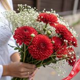 Маленькое фото 1: Композиция из 5 кустовых алых хризантем с гипсофилой «Романтика»