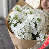 Маленькое фото 2: Букет из 25 белых флоксов в крафте