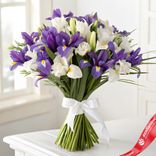 Маленькое фото 1: Букет из 51 фиолетового и 50 белых ирисов