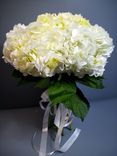 Фото флориста 6: Букет из 9 белых гортензий