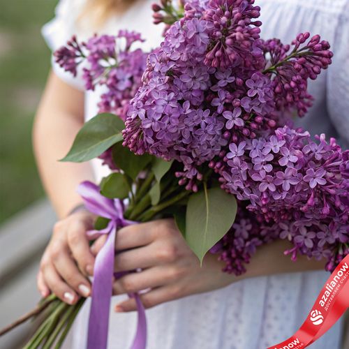Акция! Букет из сирени M
