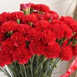 Маленькое фото 4: Букет из 70 красных гвоздик