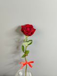 Фото флориста 1: Роза красная, Кения, 40см