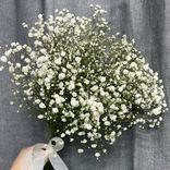 Фото флориста 3: 5 белых гипсофил, Голландия