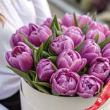 Маленькое фото 2: Букет из 21 фиолетового пионовидного тюльпана в белой коробке, Россия