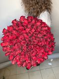 Фото флориста 1: Букет из 101 красной розы, 60 см, Эквадор