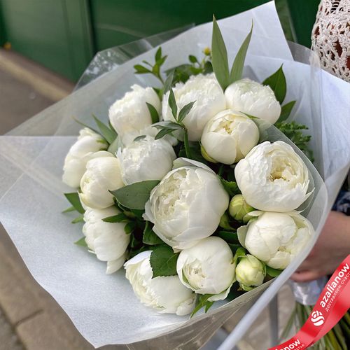 Букет из 15 белых пионов в пленке