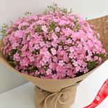 Маленькое фото 1: Букет из 51 розового флокса в крафте