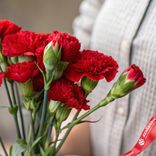 Маленькое фото 3: Букет из 3 кустовых красных гвоздик с лентой сорта Диантус, Голландия