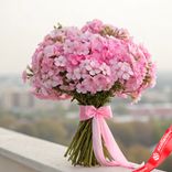 Маленькое фото 1: Букет из 35 розовых флоксов с розовой лентой