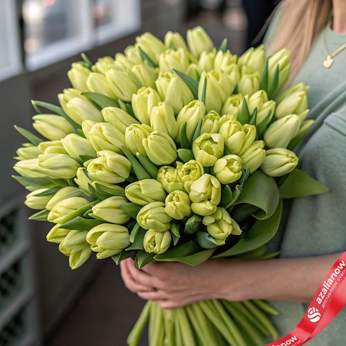 Букет из 50 зеленых тюльпанов, Россия