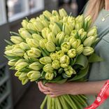 Маленькое фото 1: Букет из 50 зеленых тюльпанов, Россия