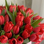 Маленькое фото 3: Букет из 51 красного тюльпана в розовой коробке