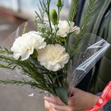 Маленькое фото 1: Букет из 3 белых гвоздик с зеленью в пленке, Диантус, Голландия