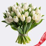 Маленькое фото 1: Букет из 31 белоснежного сортового тюльпана