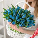 Маленькое фото 1: Букет из 51 голубого тюльпана в корзине, Россия
