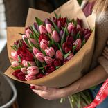 Маленькое фото 1: Букет из 50 бордовых и розовых тюльпанов в крафте