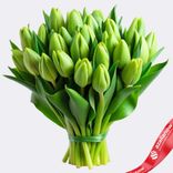 Маленькое фото 1: Букет из 20 зеленых тюльпанов, Россия