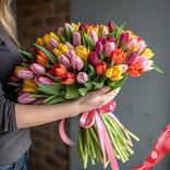 Маленькое фото 1: 60 разноцветных тюльпанов с фисташкой, перевязаны атласной лентой