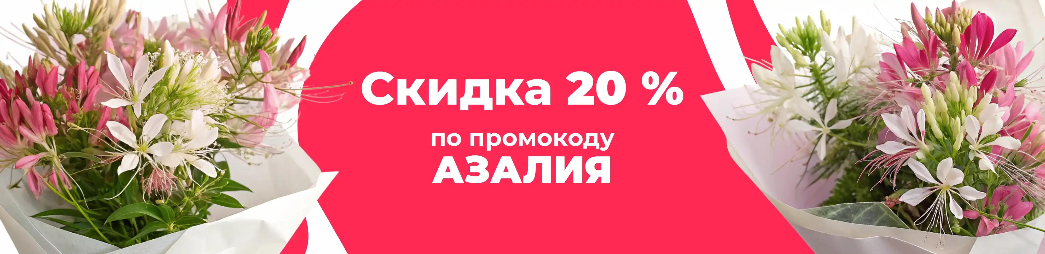 Баннер для рубрики: Клеомы
