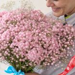 Маленькое фото 3: Букет из 25 розовых гипсофил с голубой лентой